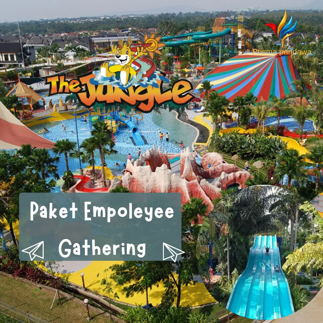 Paket gathering the jungle